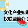 文化產(chǎn)業(yè)知識(shí)產(chǎn)權(quán)聯(lián)盟（關(guān)于文化產(chǎn)業(yè)知識(shí)產(chǎn)權(quán)聯(lián)盟簡(jiǎn)介）