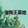 定陶王墓地 王陵（關(guān)于定陶王墓地 王陵介紹）