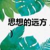 思想的遠方 上下（關(guān)于思想的遠方 上下介紹）