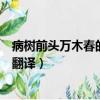 病樹前頭萬木春的上一句（酬樂天揚州初逢席上見贈原文及翻譯）