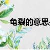 龜裂的意思是什么（詞語龜裂什么意思）
