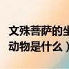 文殊菩薩的坐騎是什么動物（文殊菩薩的坐騎動物是什么）