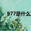 977是什么意思這是啥（977是什么梗）