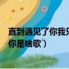直到遇見(jiàn)了你我只喜歡你是什么歌（直到遇見(jiàn)了你我只喜歡你是啥歌）