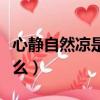 心靜自然涼是什么意思（心靜自然涼意思是什么）