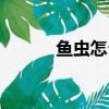 魚蟲怎么養(yǎng)（魚蟲的飼養(yǎng)方法）