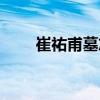 崔祐甫墓志（關(guān)于崔祐甫墓志簡介）