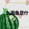 九漏魚是什么意思（九漏魚的解釋如下）
