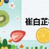 崔白芷村（關(guān)于崔白芷村簡(jiǎn)介）