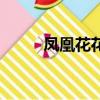 鳳凰花花語（鳳凰花花語是什么）
