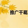 推廣干葛湯（關于推廣干葛湯簡介）
