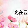 宛在云端（關(guān)于宛在云端介紹）