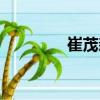 崔茂森（關(guān)于崔茂森簡介）