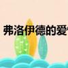 弗洛伊德的愛情（關(guān)于弗洛伊德的愛情介紹）