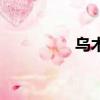 烏木是什么（烏木介紹）