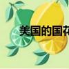 美國的國花是什么（美國的國花介紹）
