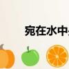 宛在水中央（關(guān)于宛在水中央介紹）