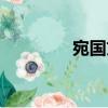 宛國文（關(guān)于宛國文介紹）