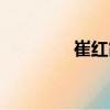 崔紅霞（關(guān)于崔紅霞簡(jiǎn)介）