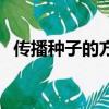 傳播種子的方法（傳播種子的方法是什么）