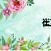 崔茂（關(guān)于崔茂簡介）