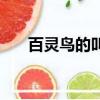 百靈鳥的叫聲（百靈鳥叫聲怎么形容）