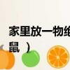 家里放一物絕對沒老鼠（家里放什么絕對沒老鼠 ）