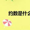 約數(shù)是什么意思（約數(shù)的含義是什么）