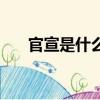 官宣是什么梗（網(wǎng)絡(luò)語(yǔ)官宣什么意思）