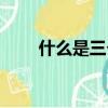 什么是三個(gè)代表（三個(gè)代表的介紹）