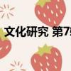 文化研究 第7輯（關于文化研究 第7輯簡介）