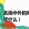 名揚(yáng)中外的揚(yáng)是什么意思（名揚(yáng)中外的揚(yáng)意思是什么）