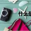 什么是龍?zhí)ь^（龍?zhí)ь^介紹）