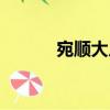 宛順大人（關(guān)于宛順大人介紹）