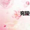 宛陵帖（關(guān)于宛陵帖介紹）