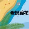老媽蹄花的做法（老媽蹄花怎樣做）