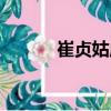 崔貞姑廟（關(guān)于崔貞姑廟簡介）