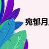 宛郁月旦（關于宛郁月旦介紹）