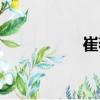 崔薇（關(guān)于崔薇簡介）