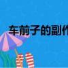 車前子的副作用（車前子的副作用有哪些）