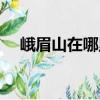 峨眉山在哪里哪個城市（峨眉山在哪里）