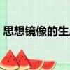 思想鏡像的生成（關于思想鏡像的生成介紹）