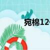 宛棉12號(hào)（關(guān)于宛棉12號(hào)介紹）