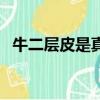 牛二層皮是真皮嗎（牛二層皮是不是真皮）
