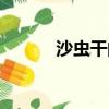 沙蟲干的做法（沙蟲干怎么做）
