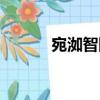宛洳智障（關(guān)于宛洳智障介紹）