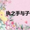 執(zhí)之手與子偕老什么意思（含義是什么）