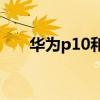 華為p10和p10plus區(qū)別（有啥區(qū)別）
