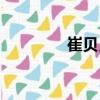 崔貝貝（關(guān)于崔貝貝簡介）