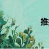 推排（關于推排簡介）